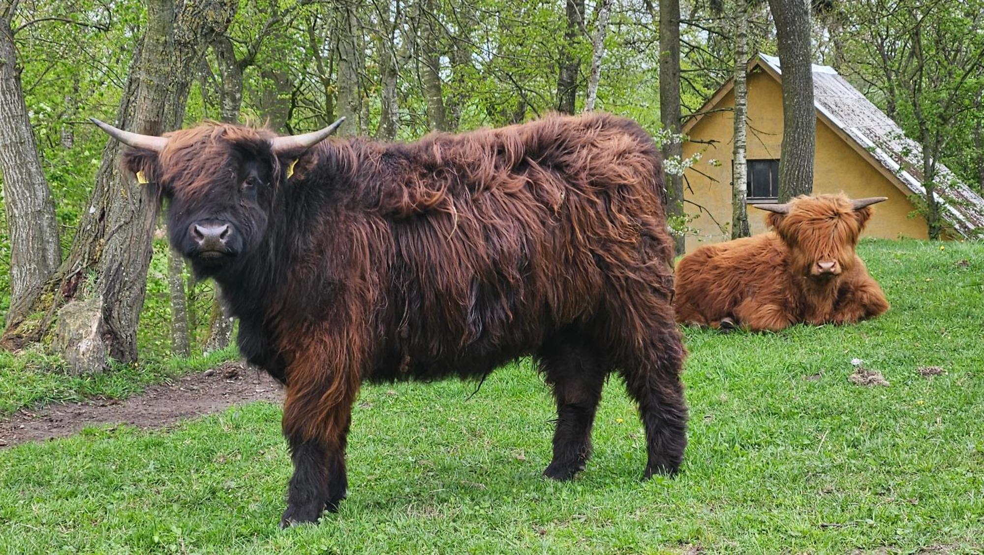 Dybvad Molle Bed And Breakfast Års Zewnętrze zdjęcie